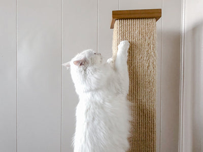 A Cat tree – an ideal gift for your beloved cat