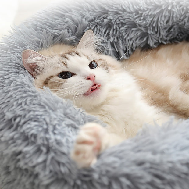 Plush Pet Bed
