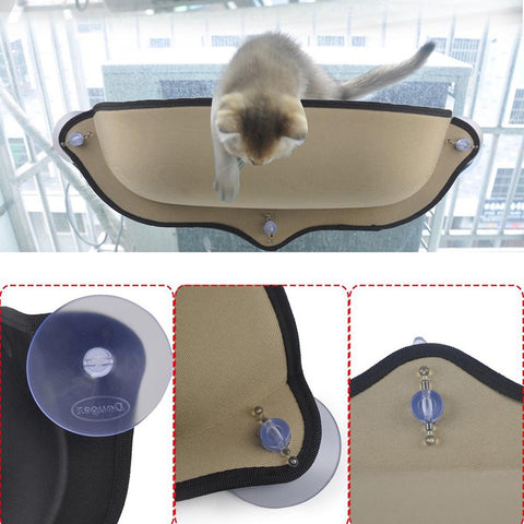 Window Cat Lounge