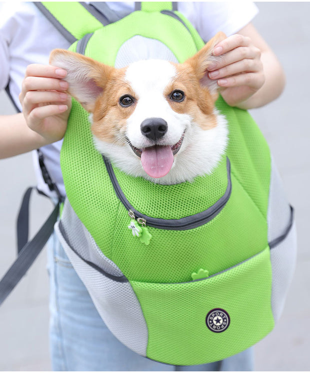 Mesh Travel Pet Bag