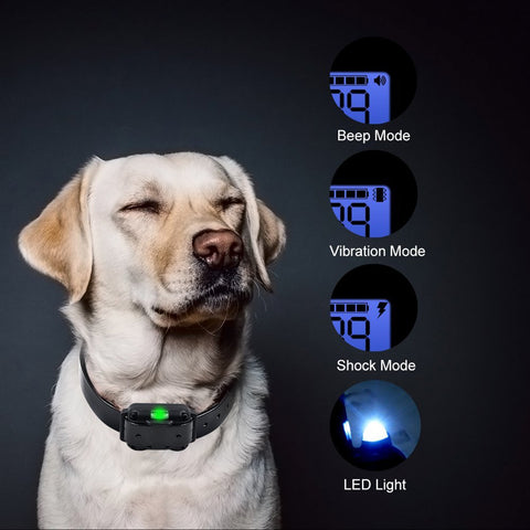 Anti-bark Training Collar