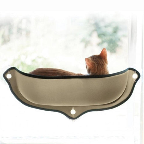 Window Cat Lounge
