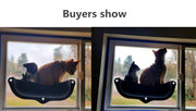 Window Cat Lounge