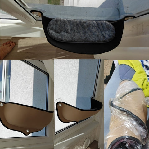Window Cat Lounge