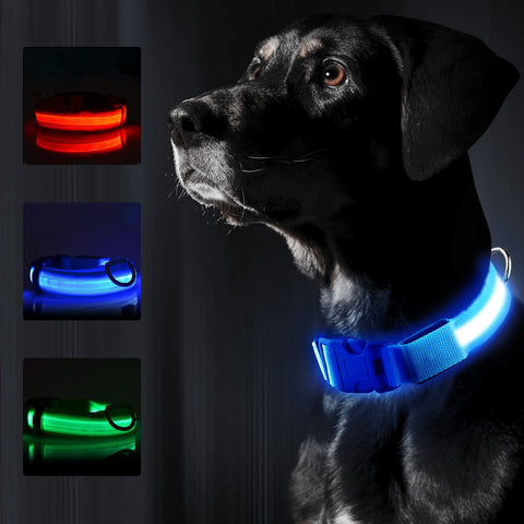 LED Rechargeable Collar