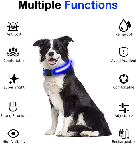 LED Rechargeable Collar