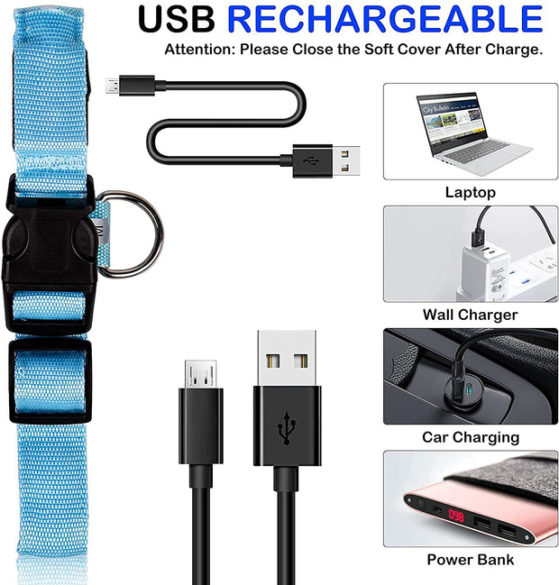 LED Rechargeable Collar