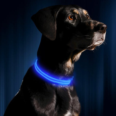 LED Rechargeable Collar