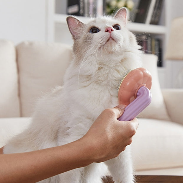 Self Cleaning Slicker Pet Brush