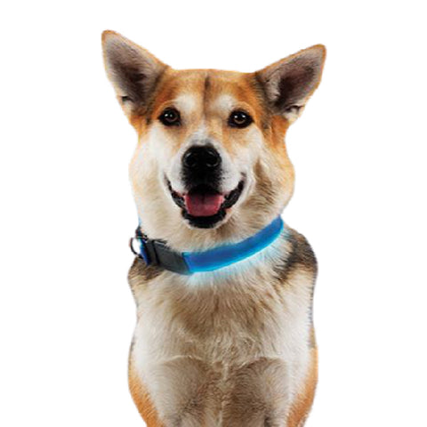 LED Rechargeable Collar